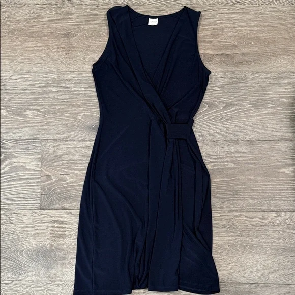 Elegant Navy Sleeveless Dress - Picture 1 of 5